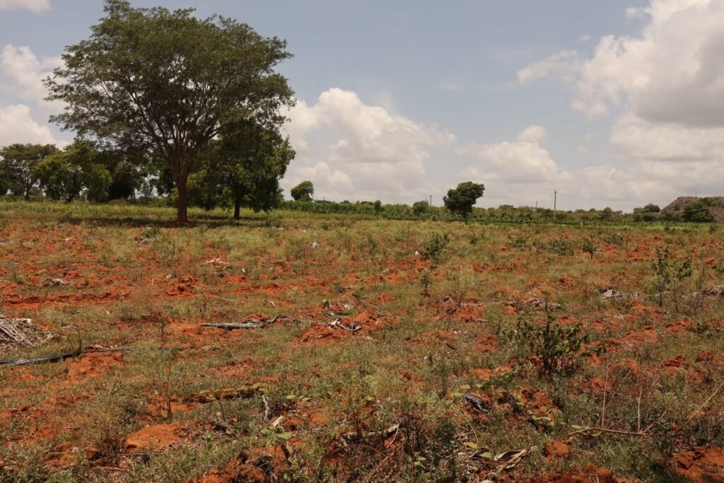 Nanajangudu 1.36 Acre